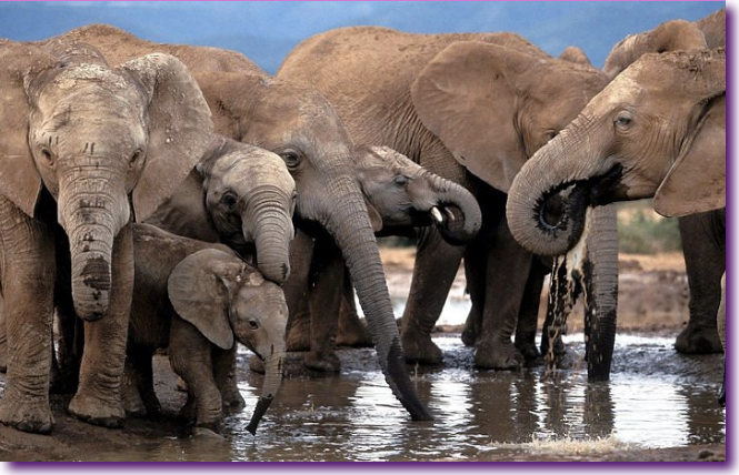 Captura de pantalla 2012-08-06 a la(s) 00.00.49