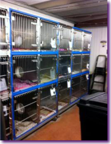 Captura de pantalla 2012-10-16 a la(s) 15.52.40