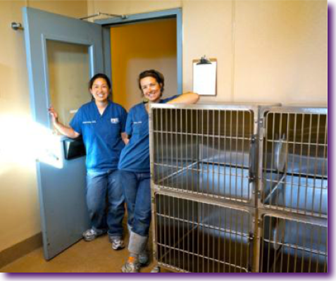 Captura de pantalla 2012-10-16 a la(s) 15.53.29