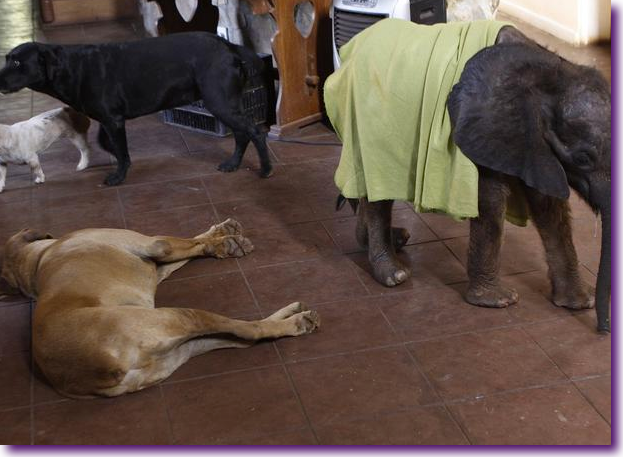 Captura de pantalla 2012-10-17 a la(s) 14.00.54