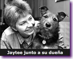 Captura de pantalla 2012-11-02 a la(s) 13.14.31