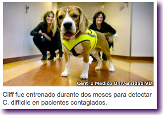 Captura de pantalla 2012-12-17 a la(s) 13.16.12