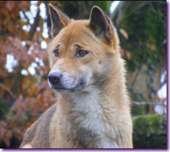 Captura de pantalla 2012-12-19 a la(s) 14.49.24