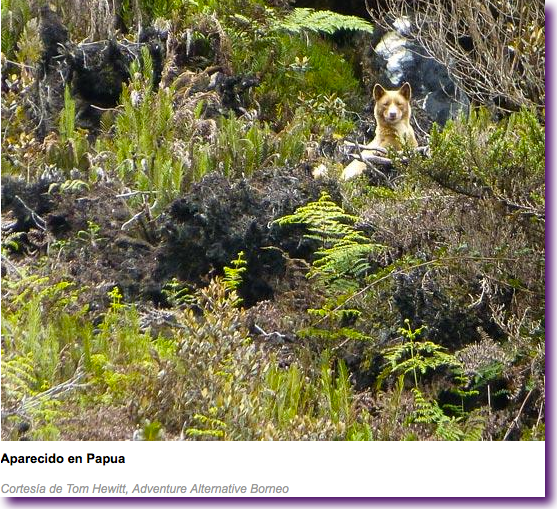 Captura de pantalla 2012-12-19 a la(s) 14.52.53